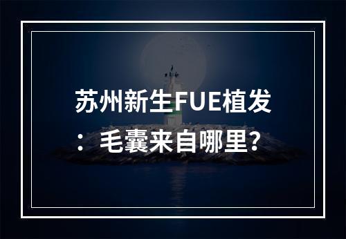 苏州新生FUE植发：毛囊来自哪里？