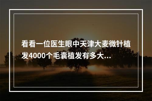 看看一位医生眼中天津大麦微针植发4000个毛囊植发有多大面积