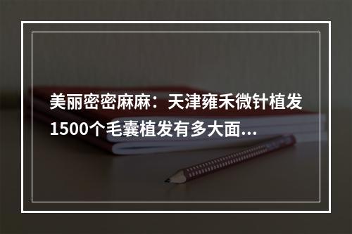 美丽密密麻麻：天津雍禾微针植发1500个毛囊植发有多大面积