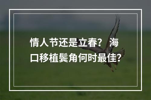 情人节还是立春？ 海口移植鬓角何时最佳？