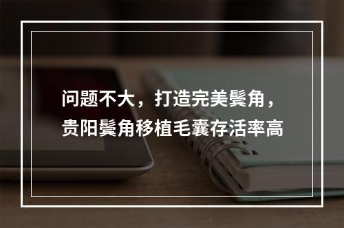 问题不大，打造完美鬓角，贵阳鬓角移植毛囊存活率高