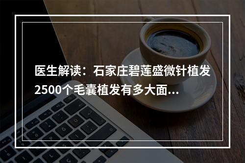 医生解读：石家庄碧莲盛微针植发2500个毛囊植发有多大面积？