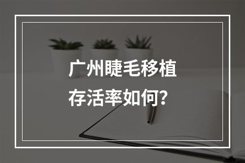 广州睫毛移植存活率如何？