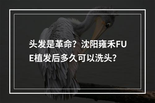 头发是革命？沈阳雍禾FUE植发后多久可以洗头？