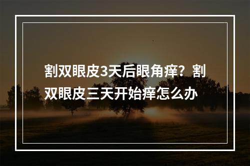 割双眼皮3天后眼角痒？割双眼皮三天开始痒怎么办