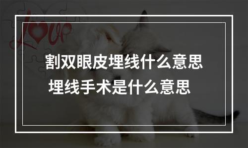 割双眼皮埋线什么意思 埋线手术是什么意思