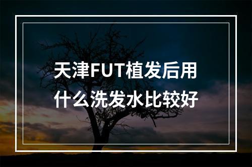 天津FUT植发后用什么洗发水比较好