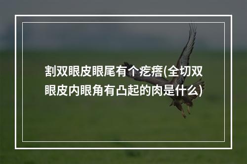 割双眼皮眼尾有个疙瘩(全切双眼皮内眼角有凸起的肉是什么)