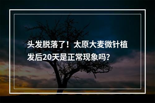 头发脱落了！太原大麦微针植发后20天是正常现象吗？