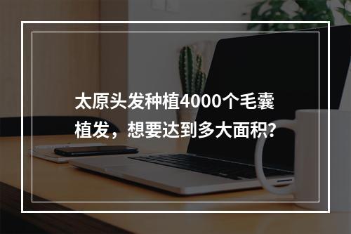 太原头发种植4000个毛囊植发，想要达到多大面积？