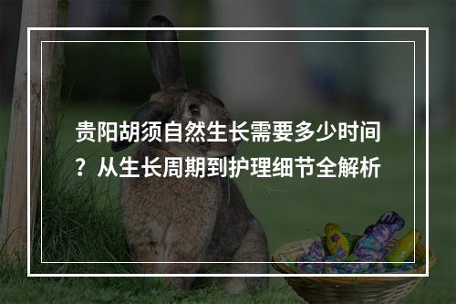 贵阳胡须自然生长需要多少时间？从生长周期到护理细节全解析