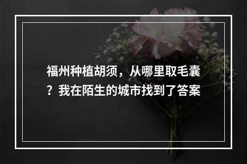 福州种植胡须，从哪里取毛囊？我在陌生的城市找到了答案