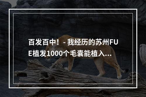 百发百中！- 我经历的苏州FUE植发1000个毛囊能植入多大面积