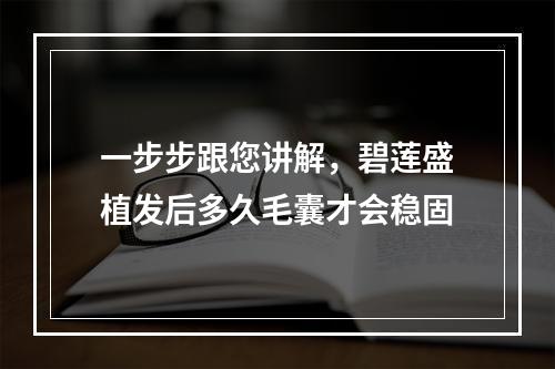 一步步跟您讲解，碧莲盛植发后多久毛囊才会稳固