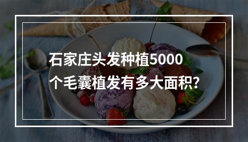 石家庄头发种植5000个毛囊植发有多大面积？