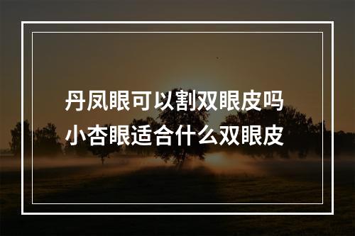 丹凤眼可以割双眼皮吗 小杏眼适合什么双眼皮