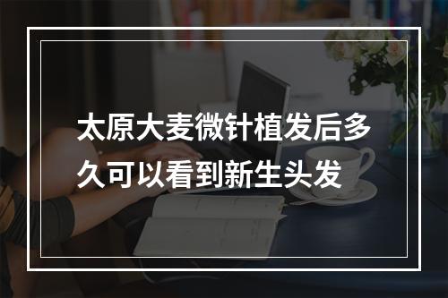 太原大麦微针植发后多久可以看到新生头发