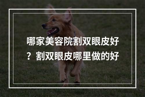 哪家美容院割双眼皮好？割双眼皮哪里做的好