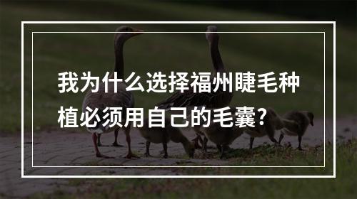 我为什么选择福州睫毛种植必须用自己的毛囊?