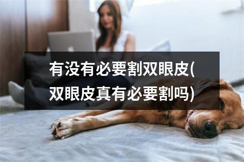 有没有必要割双眼皮(双眼皮真有必要割吗)