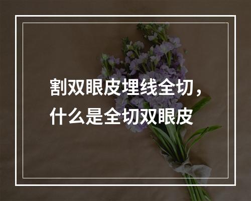 割双眼皮埋线全切，什么是全切双眼皮