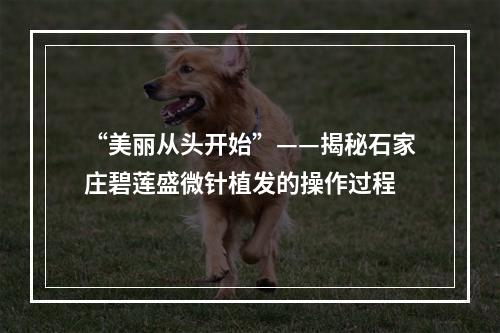 “美丽从头开始”——揭秘石家庄碧莲盛微针植发的操作过程