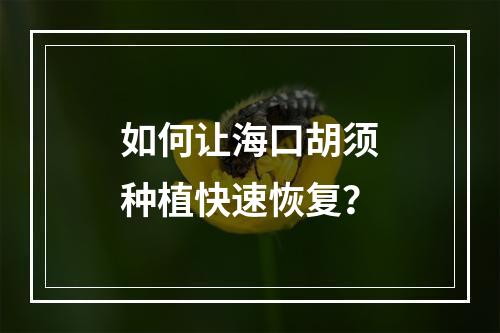 如何让海口胡须种植快速恢复？