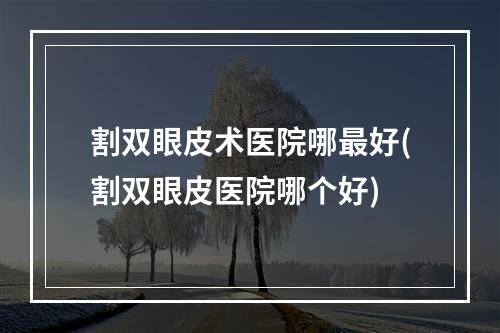 割双眼皮术医院哪最好(割双眼皮医院哪个好)