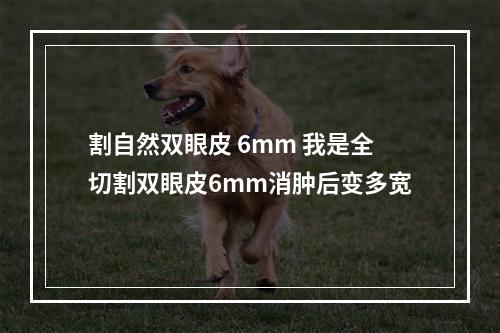 割自然双眼皮 6mm 我是全切割双眼皮6mm消肿后变多宽