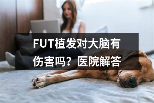 FUT植发对大脑有伤害吗？医院解答