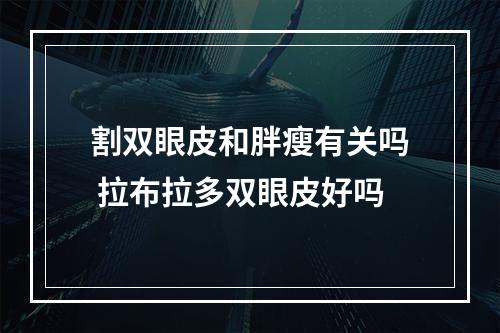 割双眼皮和胖瘦有关吗 拉布拉多双眼皮好吗