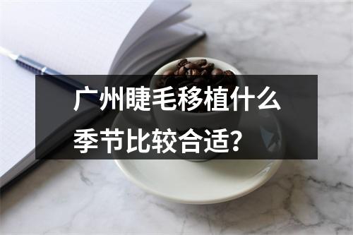 广州睫毛移植什么季节比较合适？