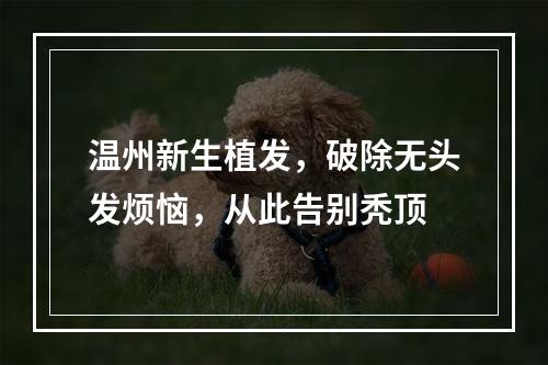 温州新生植发，破除无头发烦恼，从此告别秃顶