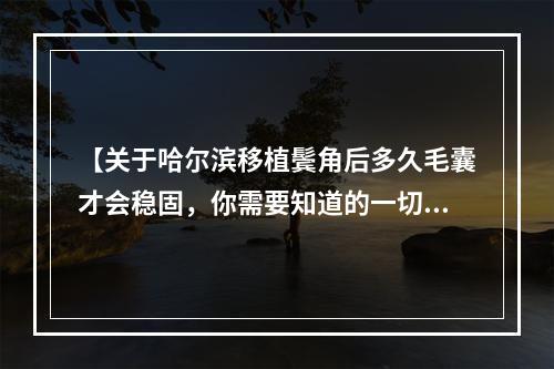 【关于哈尔滨移植鬓角后多久毛囊才会稳固，你需要知道的一切】