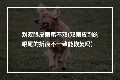 割双眼皮眼尾不双(双眼皮割的眼尾的折痕不一致能恢复吗)