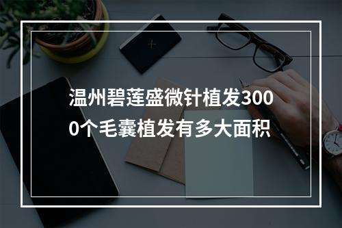 温州碧莲盛微针植发3000个毛囊植发有多大面积