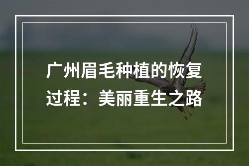 广州眉毛种植的恢复过程：美丽重生之路