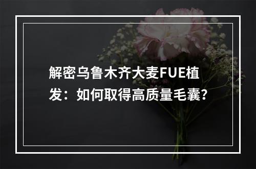 解密乌鲁木齐大麦FUE植发：如何取得高质量毛囊？