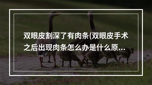 双眼皮割深了有肉条(双眼皮手术之后出现肉条怎么办是什么原因造成的)