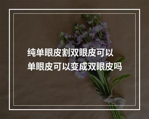 纯单眼皮割双眼皮可以 单眼皮可以变成双眼皮吗