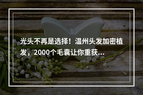 光头不再是选择！温州头发加密植发，2000个毛囊让你重获完美发型