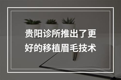 贵阳诊所推出了更好的移植眉毛技术