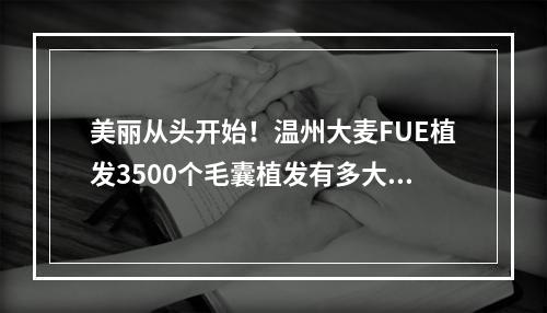 美丽从头开始！温州大麦FUE植发3500个毛囊植发有多大面积