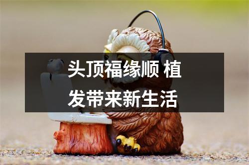 头顶福缘顺 植发带来新生活