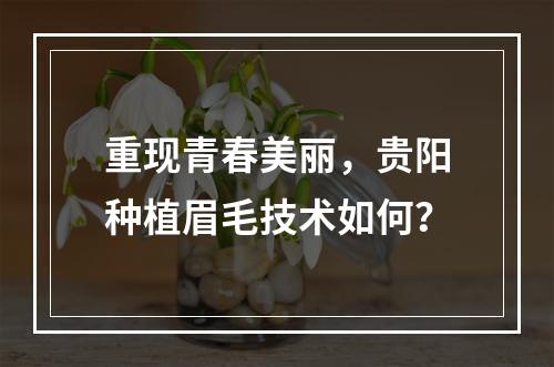 重现青春美丽，贵阳种植眉毛技术如何？