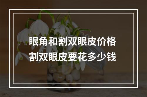 眼角和割双眼皮价格 割双眼皮要花多少钱