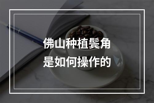 佛山种植鬓角是如何操作的