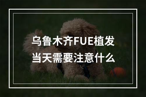 乌鲁木齐FUE植发当天需要注意什么