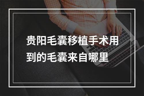 贵阳毛囊移植手术用到的毛囊来自哪里