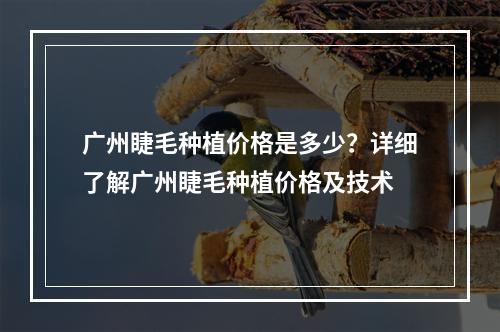 广州睫毛种植价格是多少？详细了解广州睫毛种植价格及技术